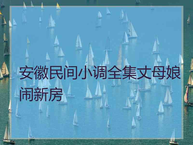 安徽民间小调全集丈母娘闹新房