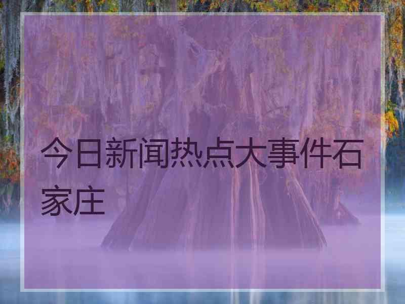 今日新闻热点大事件石家庄