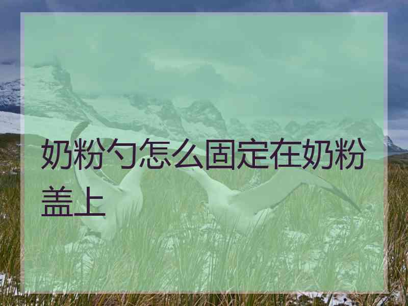 奶粉勺怎么固定在奶粉盖上