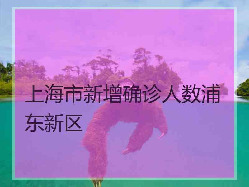 上海市新增确诊人数浦东新区