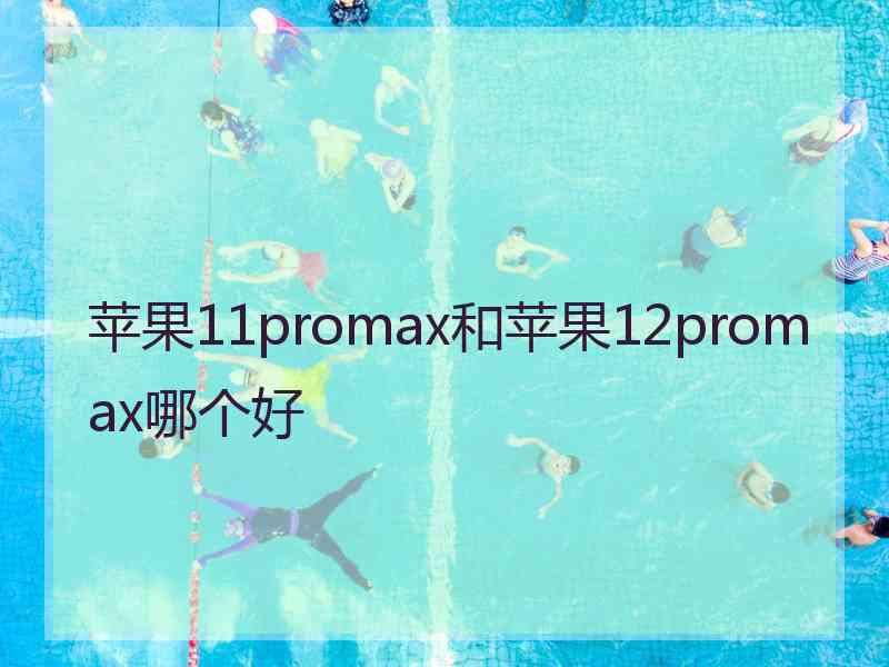 苹果11promax和苹果12promax哪个好