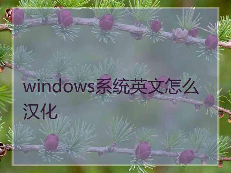 windows系统英文怎么汉化