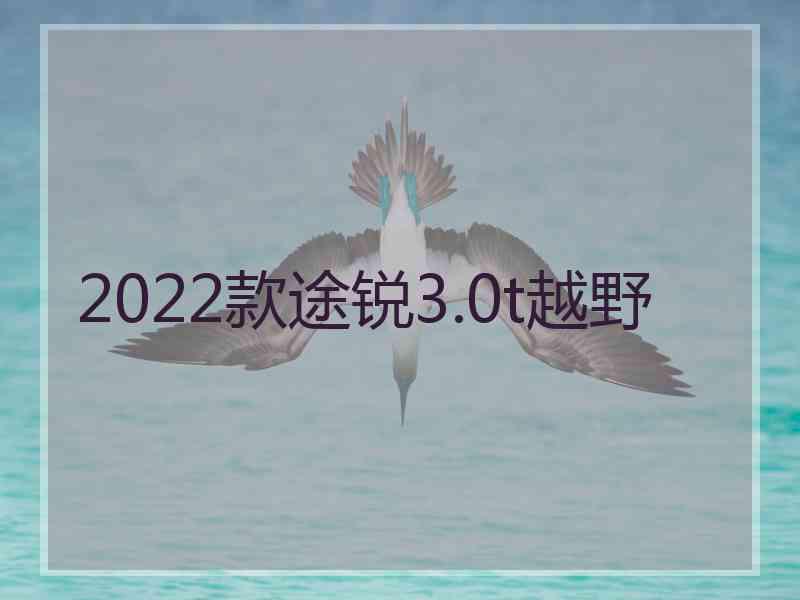 2022款途锐3.0t越野