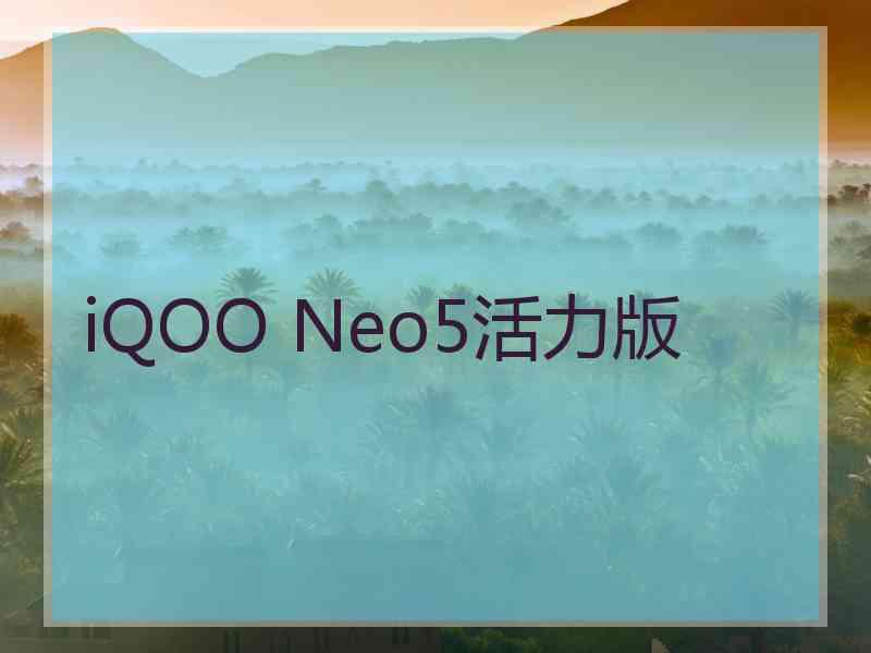 iQOO Neo5活力版