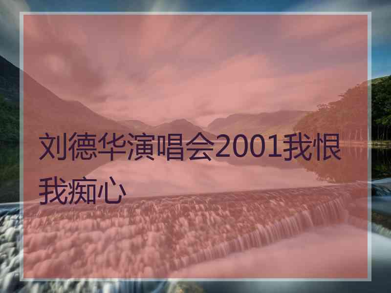 刘德华演唱会2001我恨我痴心