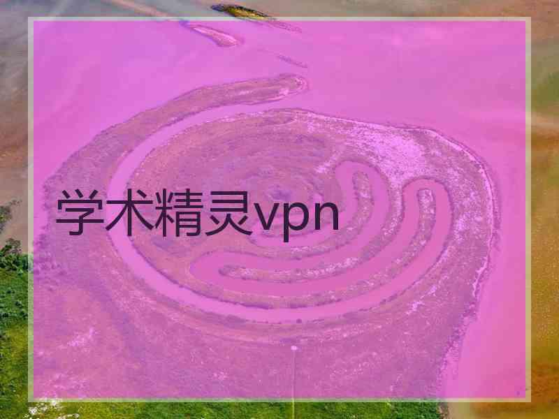 学术精灵vpn