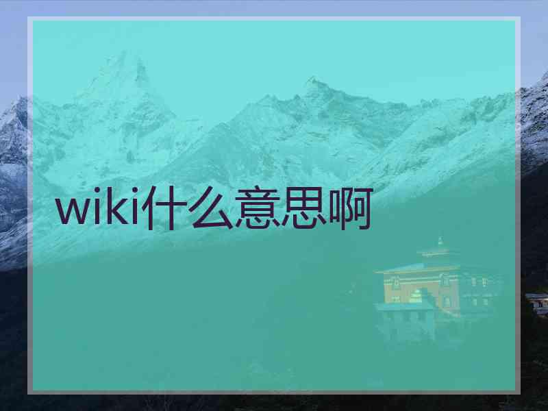 wiki什么意思啊