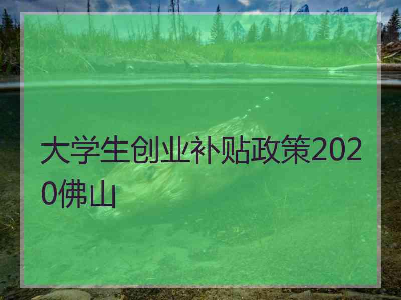 大学生创业补贴政策2020佛山