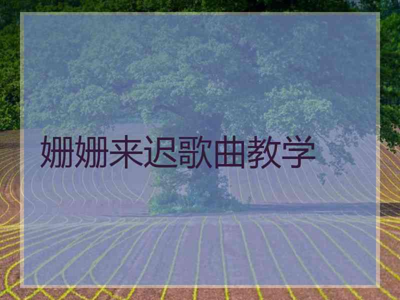 姗姗来迟歌曲教学