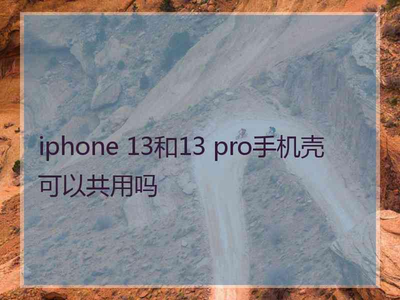 iphone 13和13 pro手机壳可以共用吗