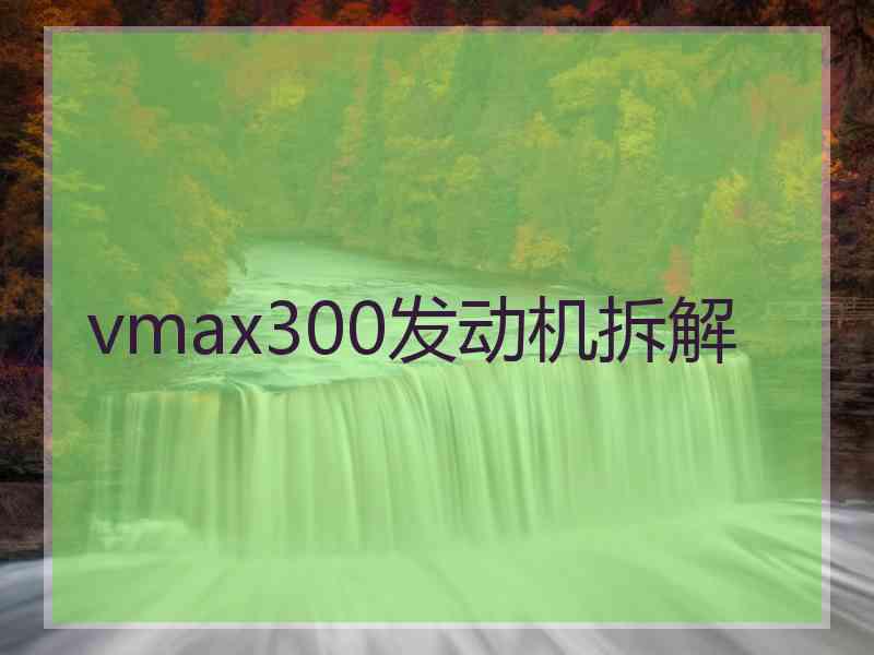 vmax300发动机拆解