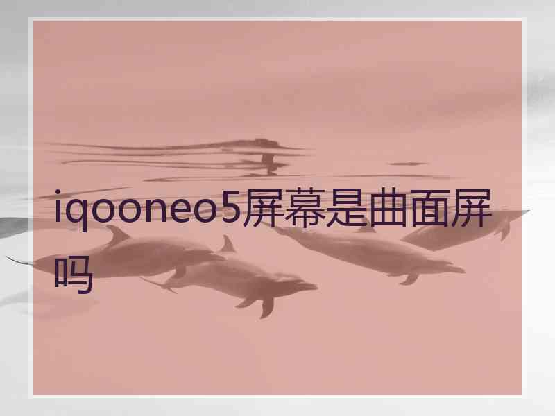 iqooneo5屏幕是曲面屏吗