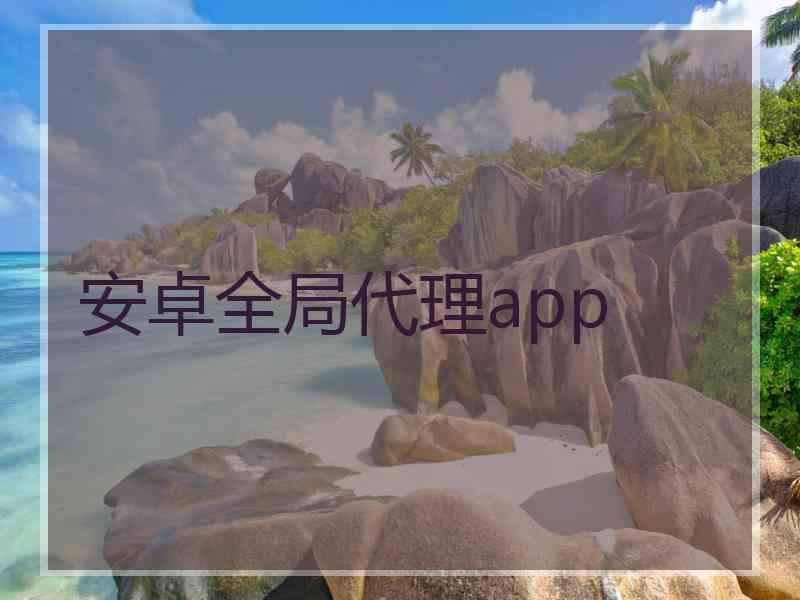 安卓全局代理app