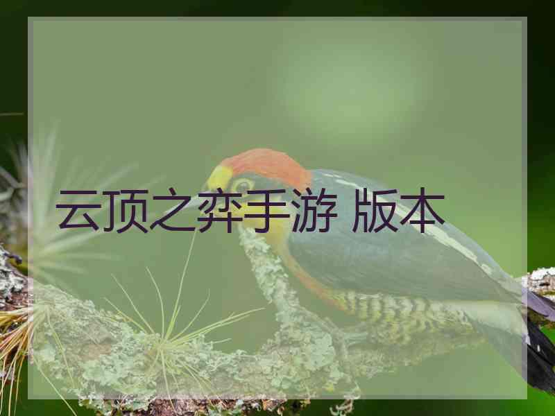 云顶之弈手游 版本