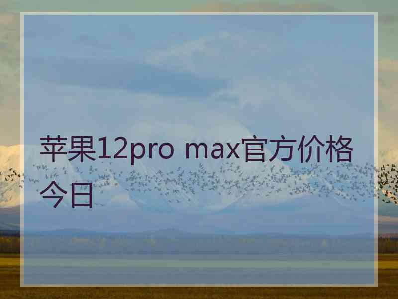 苹果12pro max官方价格今日