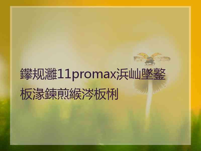 鑻规灉11promax浜屾墜鐜板湪鍊煎緱涔板悧