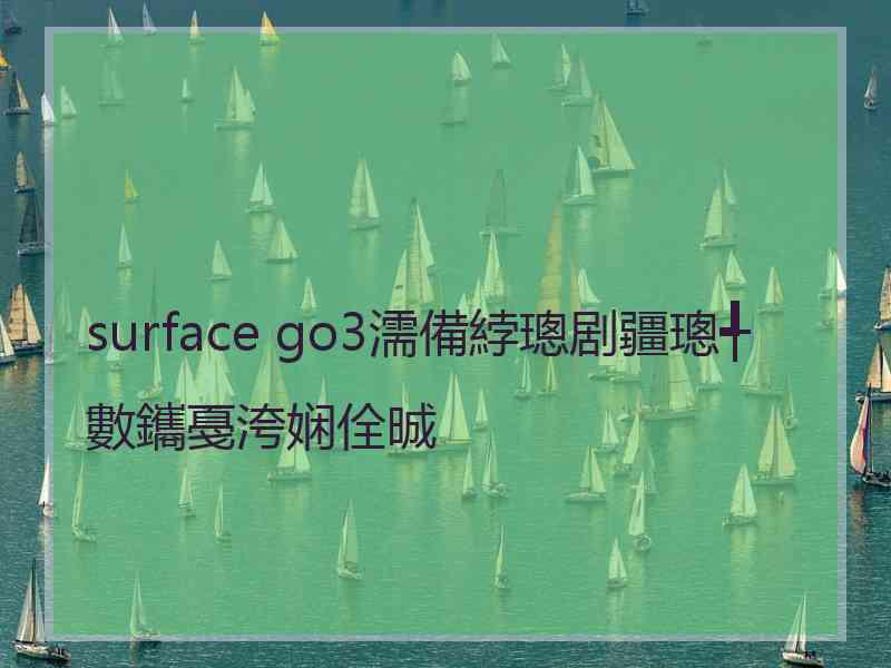 surface go3濡備綍璁剧疆璁╃數鑴戞洿娴佺晠