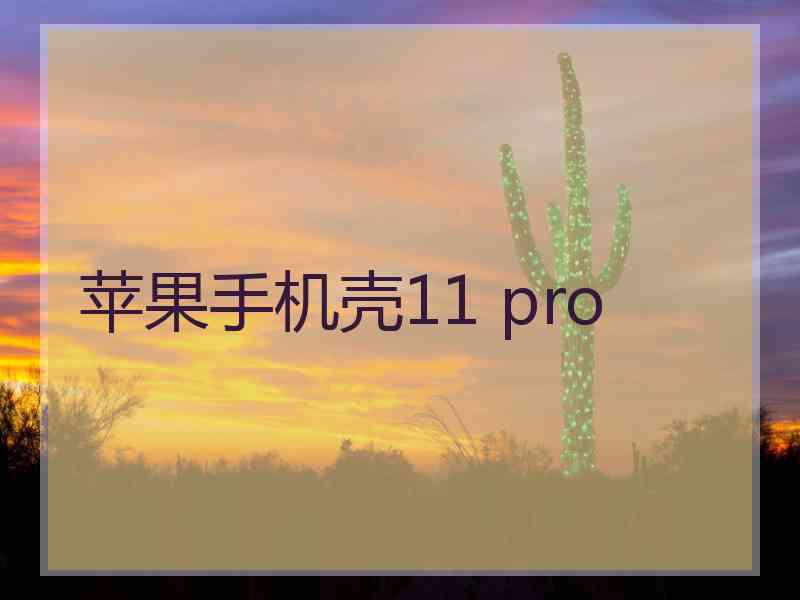 苹果手机壳11 pro