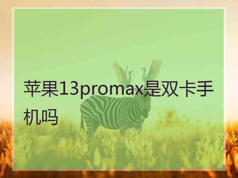 苹果13promax是双卡手机吗