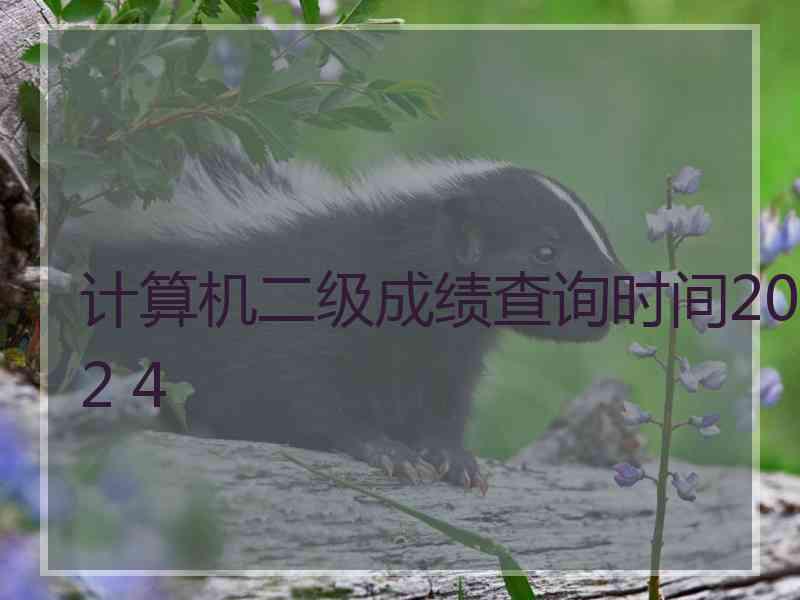 计算机二级成绩查询时间202 4