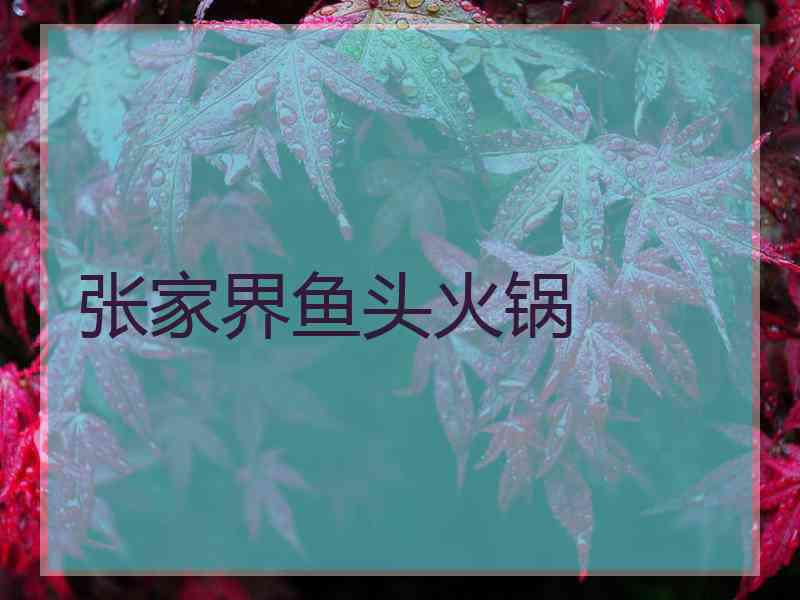 张家界鱼头火锅