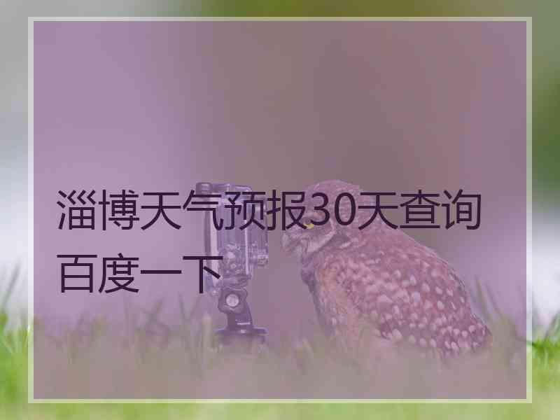 淄博天气预报30天查询百度一下