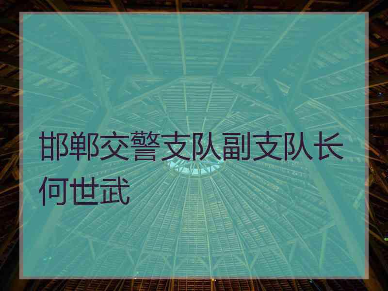 邯郸交警支队副支队长何世武