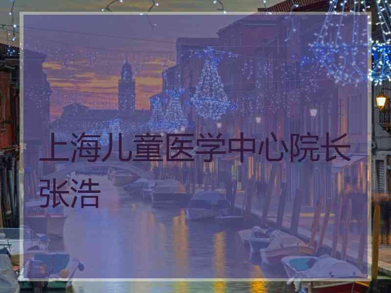 上海儿童医学中心院长张浩