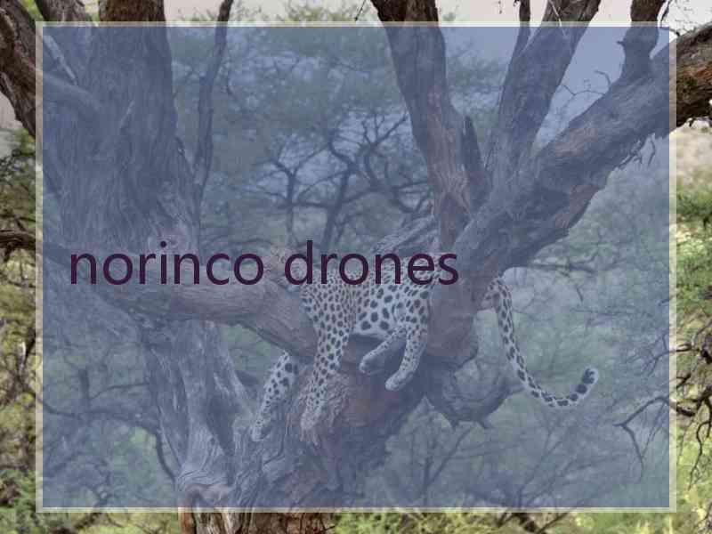 norinco drones