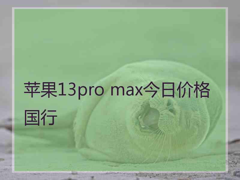 苹果13pro max今日价格 国行