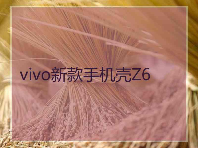 vivo新款手机壳Z6