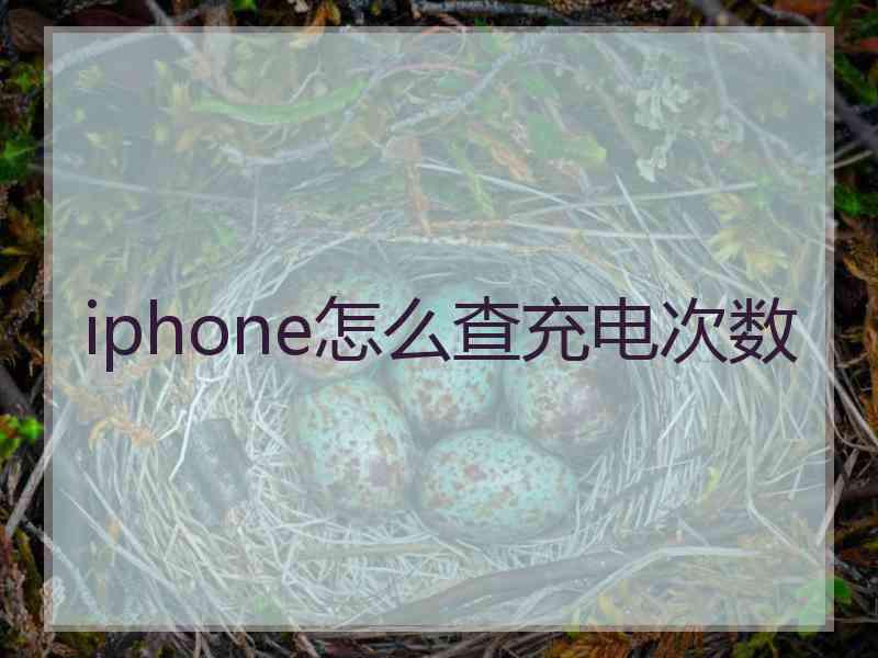 iphone怎么查充电次数