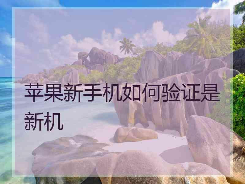 苹果新手机如何验证是新机