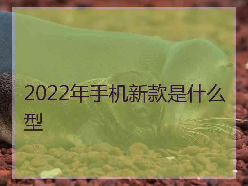 2022年手机新款是什么型