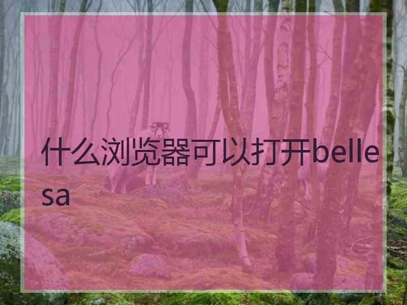 什么浏览器可以打开bellesa