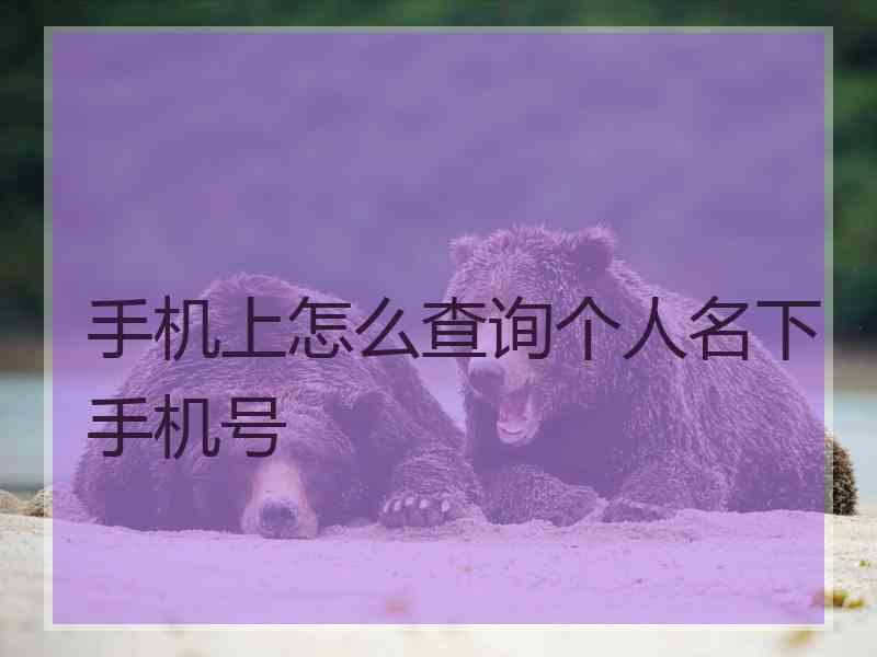 手机上怎么查询个人名下手机号