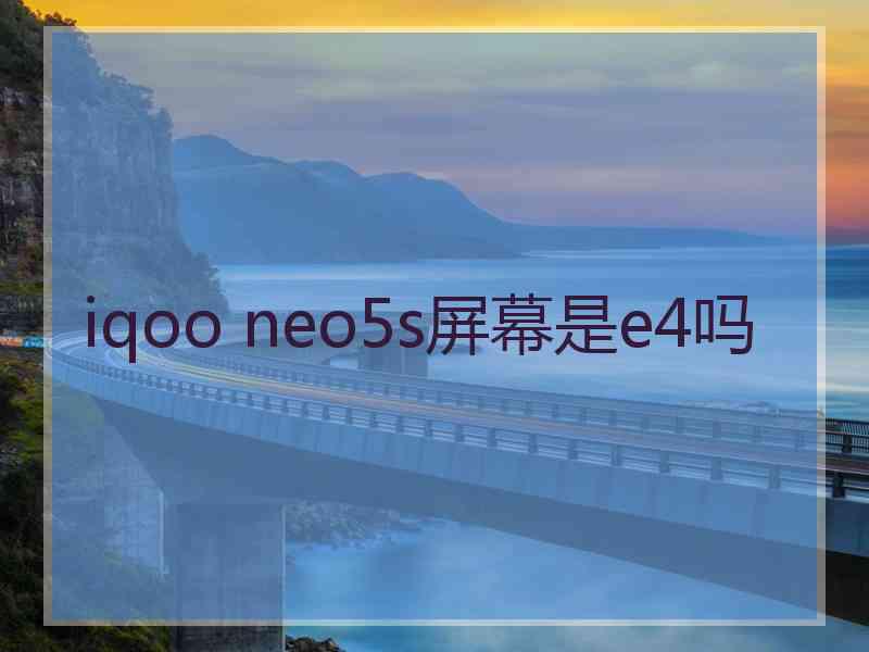 iqoo neo5s屏幕是e4吗