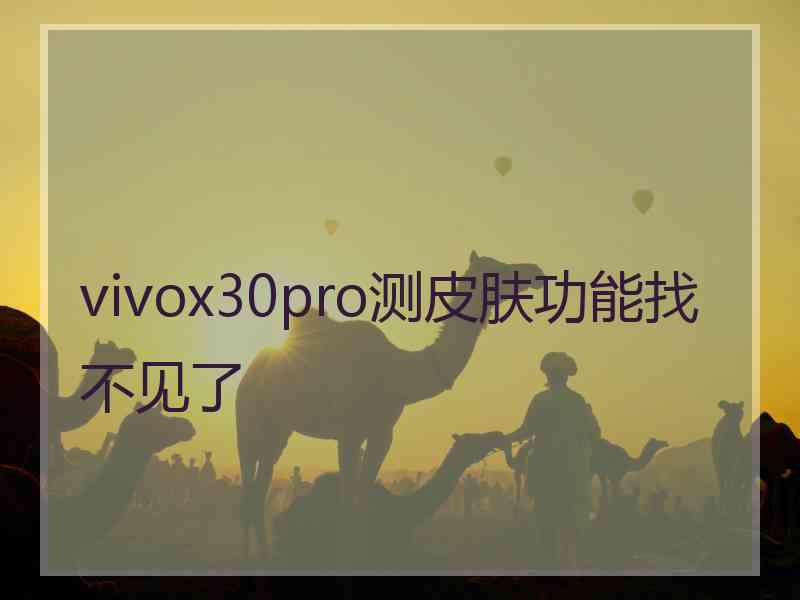 vivox30pro测皮肤功能找不见了