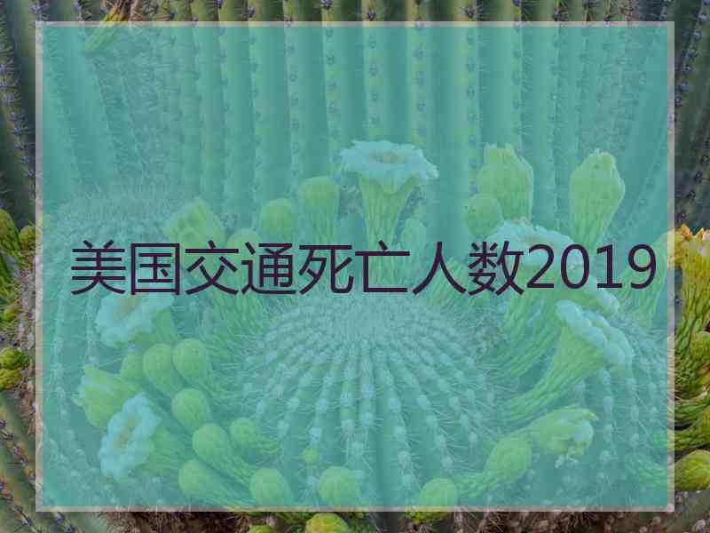 美国交通死亡人数2019