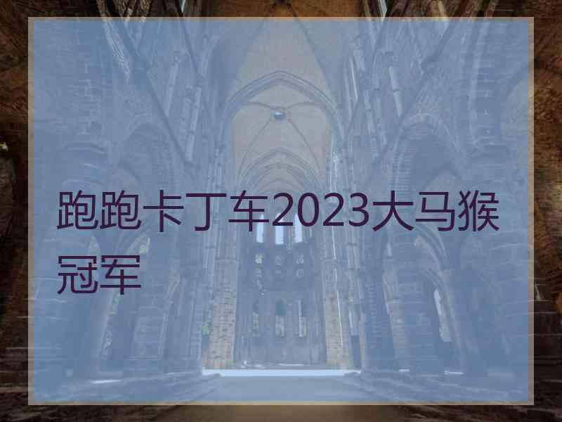 跑跑卡丁车2023大马猴冠军