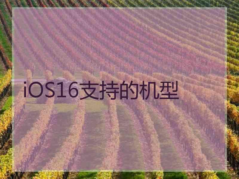 iOS16支持的机型