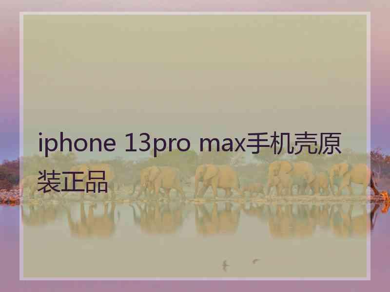 iphone 13pro max手机壳原装正品