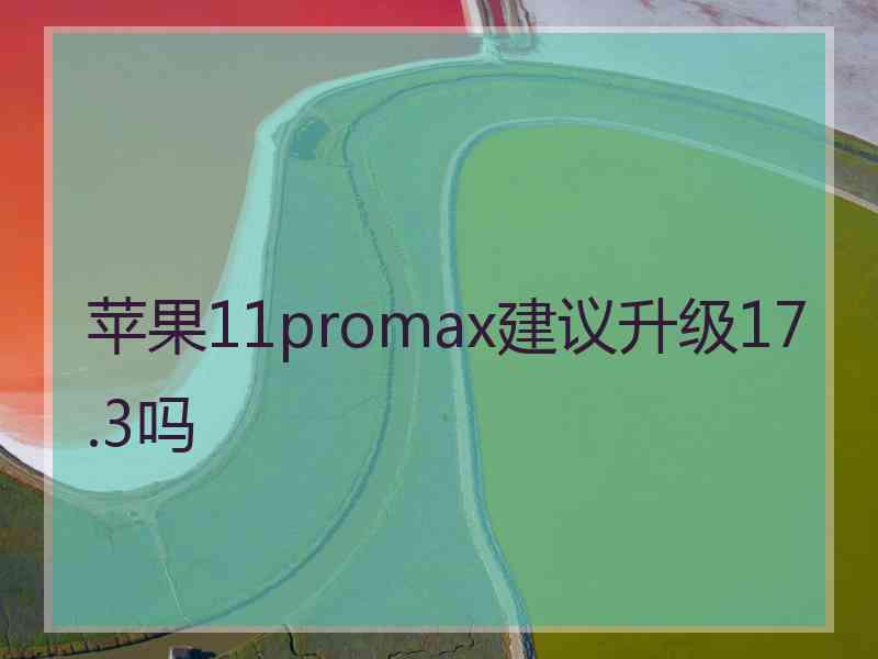 苹果11promax建议升级17.3吗