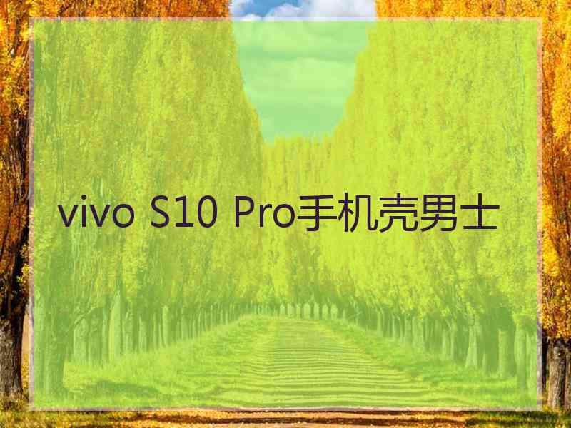 vivo S10 Pro手机壳男士