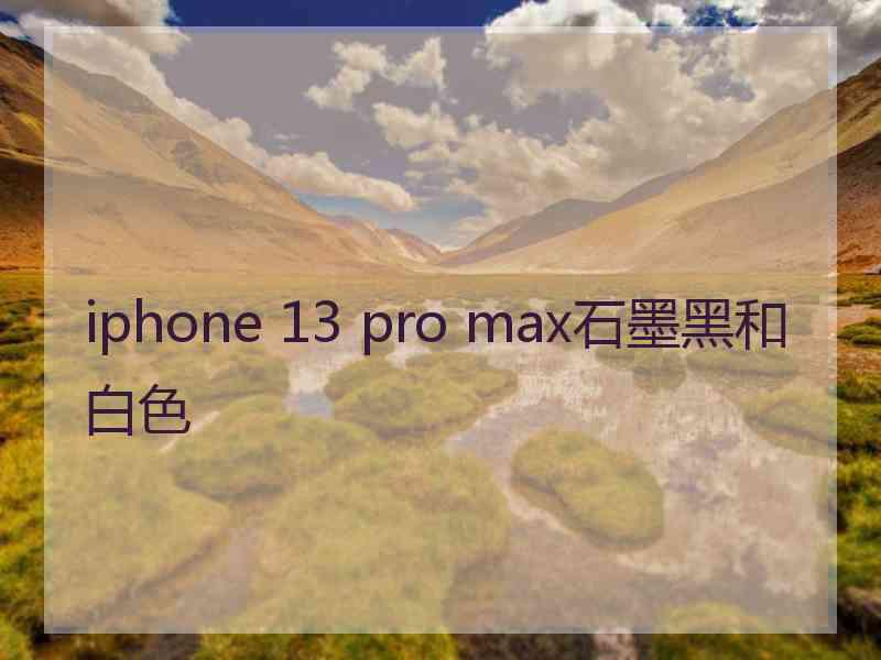 iphone 13 pro max石墨黑和白色