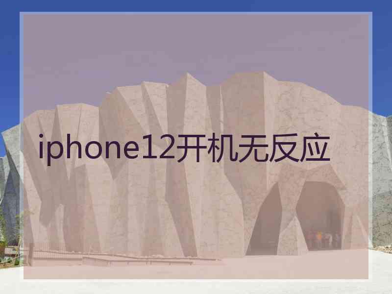 iphone12开机无反应