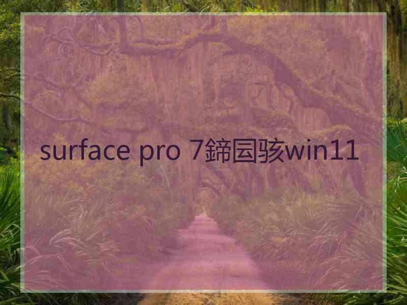 surface pro 7鍗囩骇win11