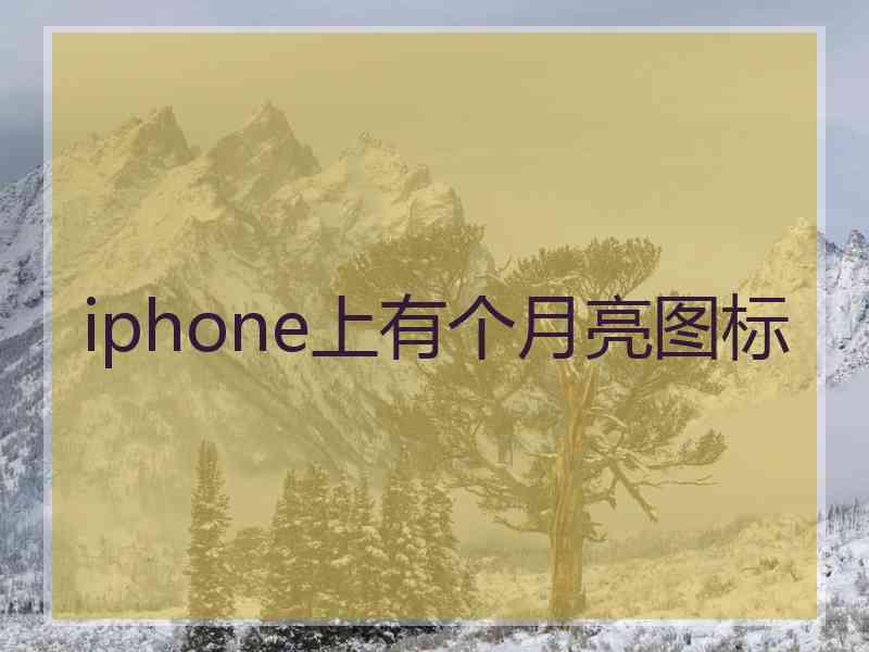 iphone上有个月亮图标