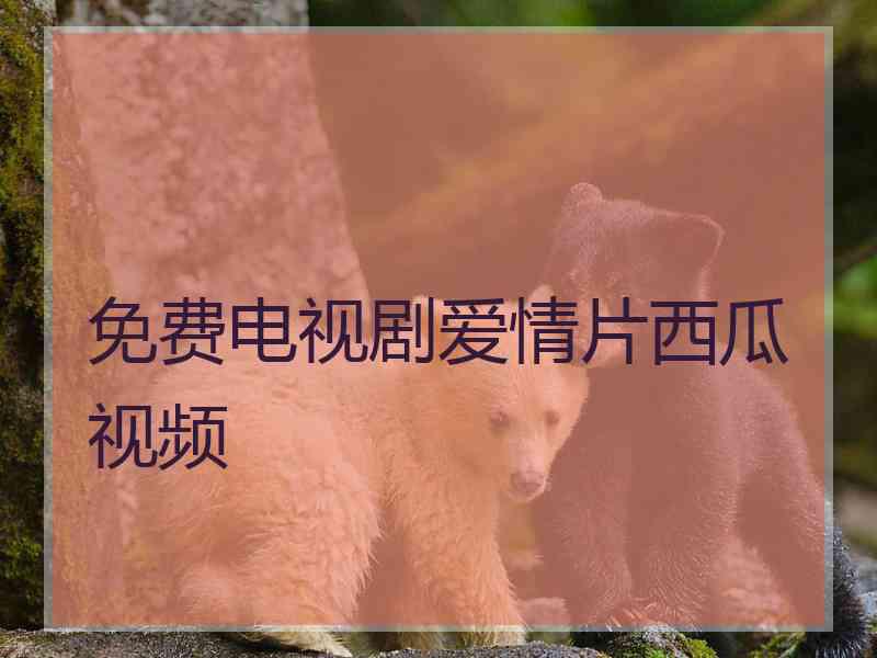 免费电视剧爱情片西瓜视频