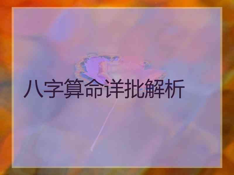 八字算命详批解析